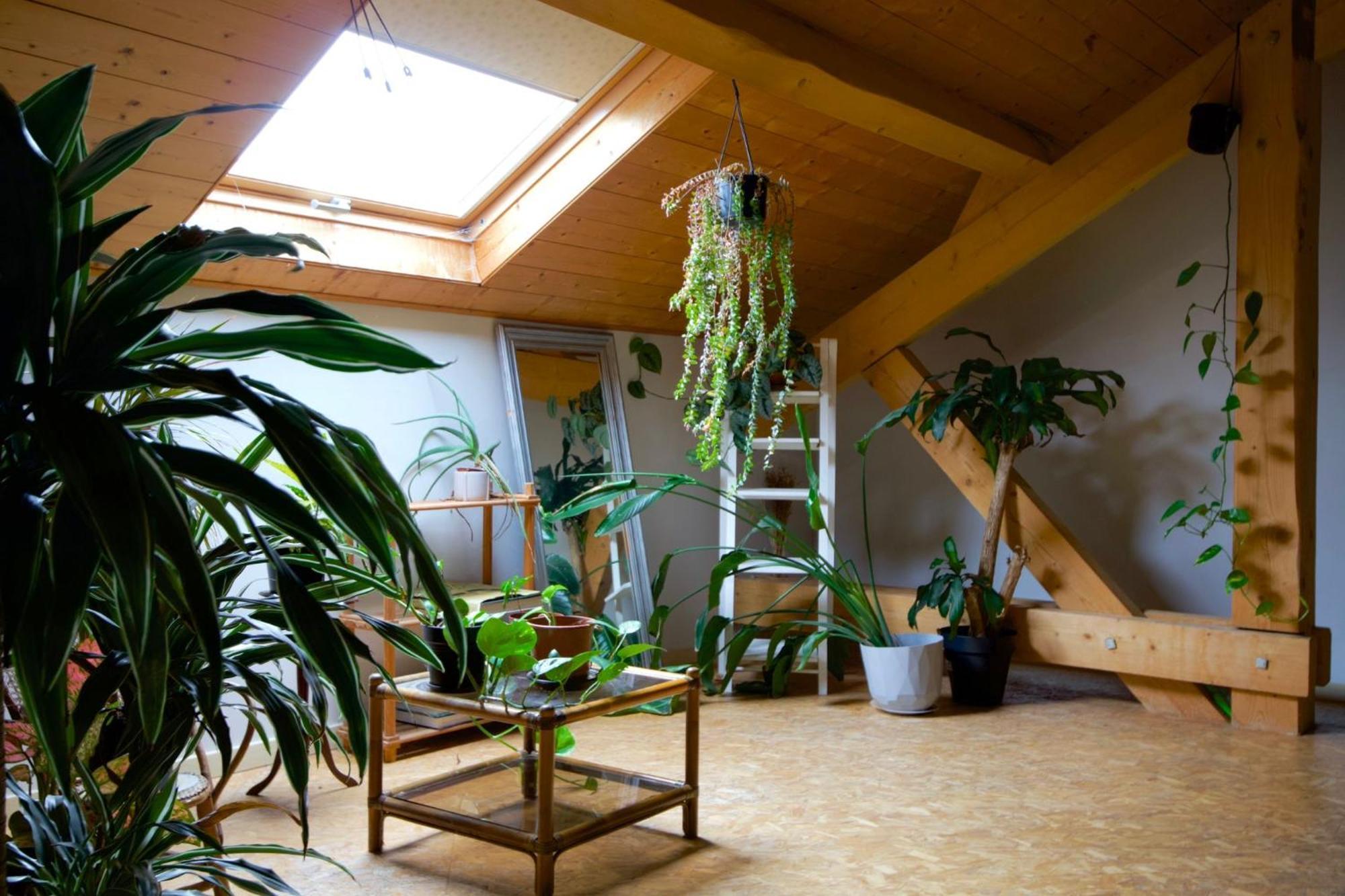 Loft Haut De Gamme Entre Verdure Et Ville Chaudefontaine  Bagian luar foto